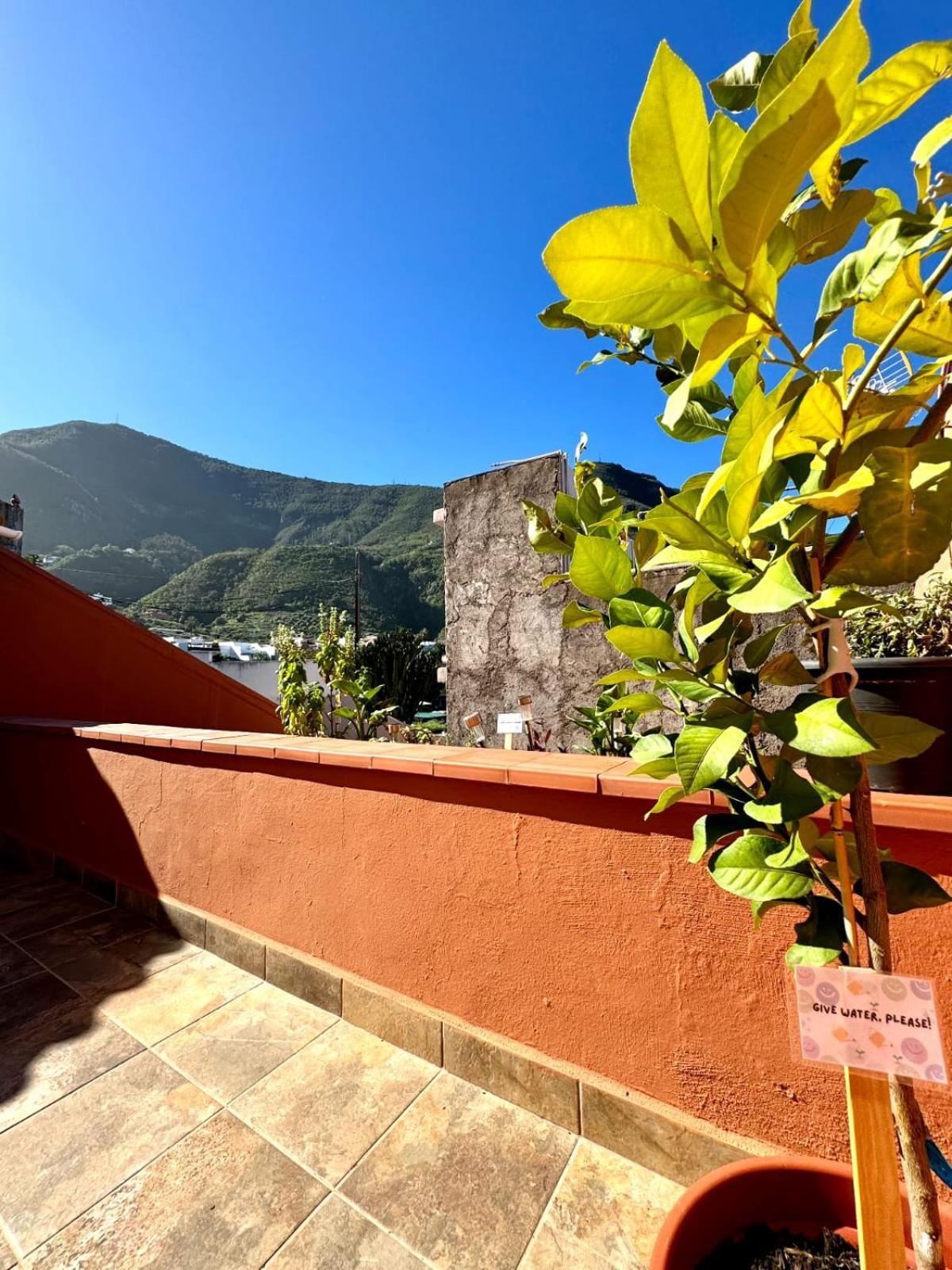 Precioso Apartamento Con Terraza En Piso Superior Vila Los Realejos Exterior foto